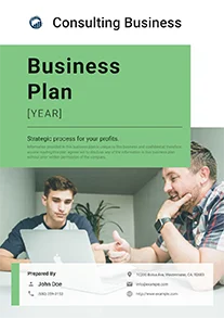 How to Write a Consulting Business Plan + Free Template